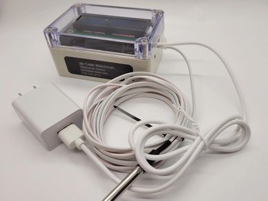 Temperature Probe 31